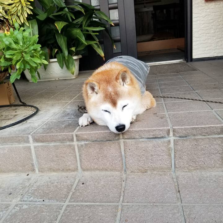 52f667e6 baf4 4858 bd79 dd2eb52556a6 1733012077240