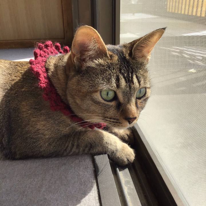 52f6beca 29a4 46ce bd43 fc72f4c301de 1615426187166