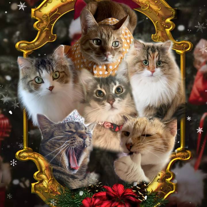 52f6df76 ddfc 4921 b62d 11e626030e0e 1671646417544