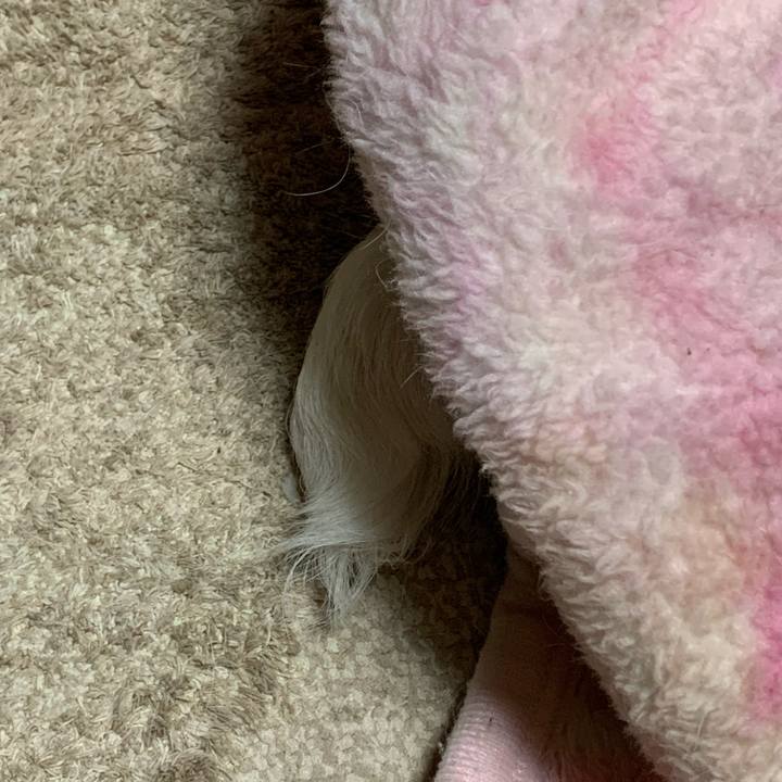 52f71892 613b 470e b95c e793a86e7d6f 1584790899984