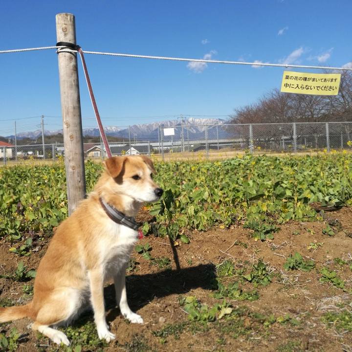 52f71974 d1c0 4556 903c 8e91f7bd1608 1516850045370