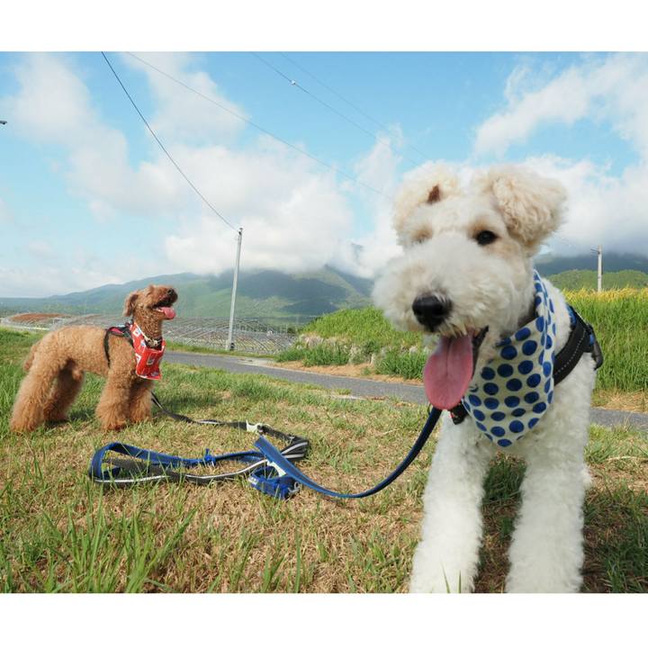 52f719fd 51f7 4091 aeb2 c078887ffa65 1535548815674