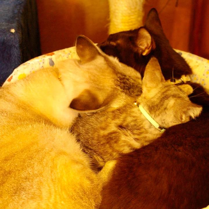 52f72029 5409 451b 8e46 3442e5ec2bf9 1616239350206