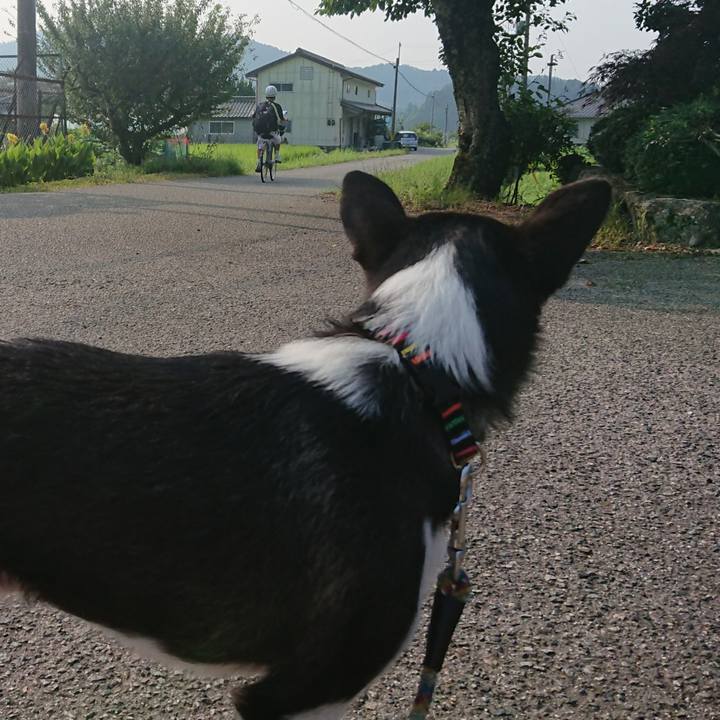 52f7636e d8e6 48e9 bf45 2be1381c595d 1564717326426