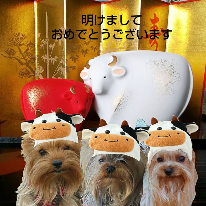 52f78c11 8527 4c6d ba50 4ac072cc2c30 1609491465776