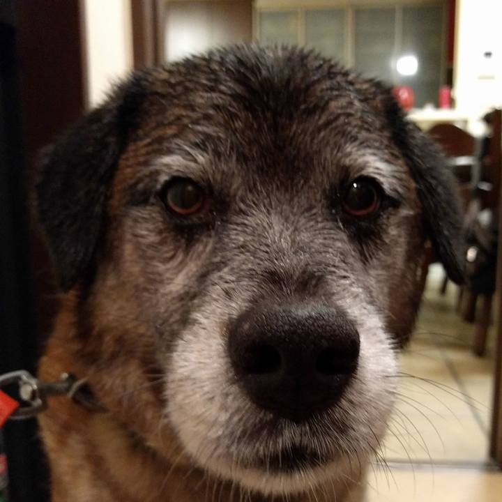 52f78f7f 0ccc 4127 adc0 948433b0093c 1526209773033