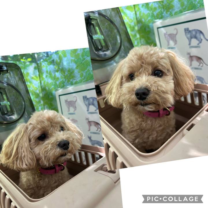 52f79904 d81b 46dd 89bf 2cacc86b8836 1689579140157