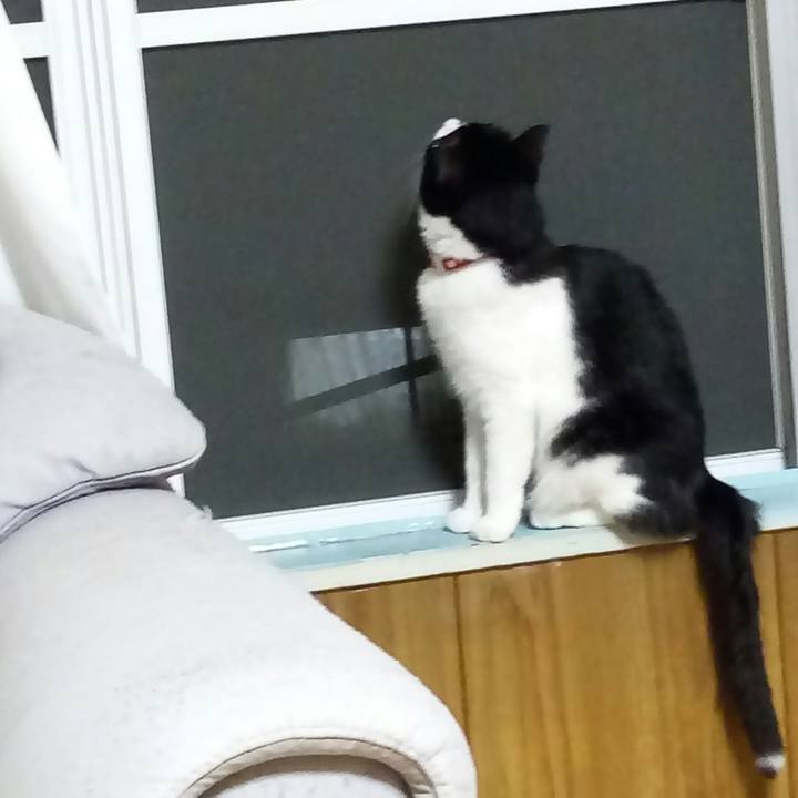 52f7ac59 e59e 4690 a1a2 b12a38f2a522 1532944146840