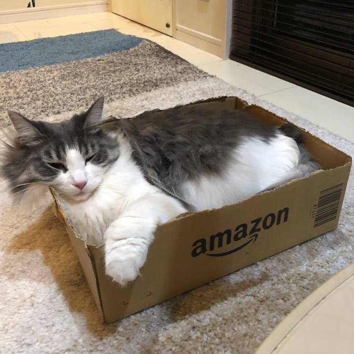 52f7e9f7 8040 442b 9071 02ecada4c883 1547114191054