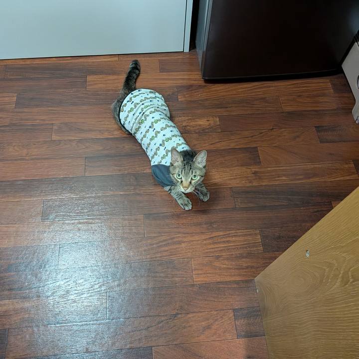 52f8249e 7c9a 4ca1 935b b4756aaa78f8 1753006149213