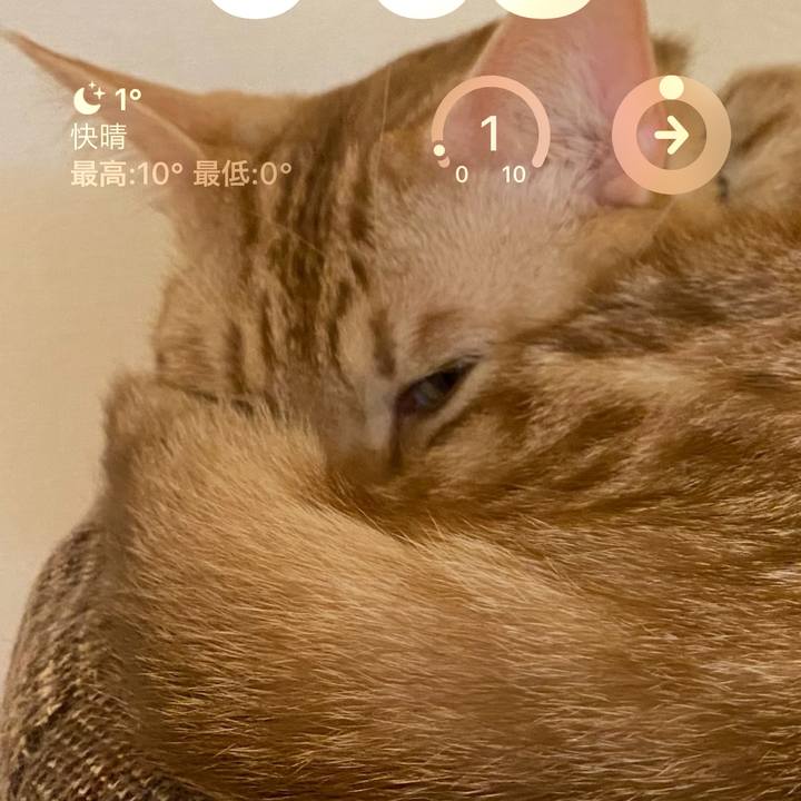 52f8291b 95e6 43db 81d2 696b292bae15 1675890005311