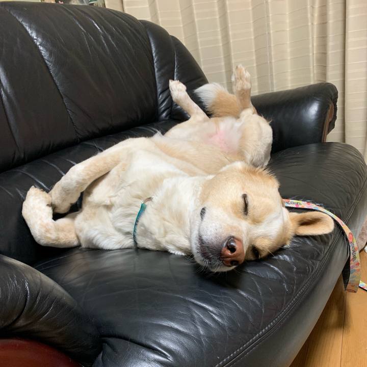 52f852e5 ad15 4c3d 881d a0af0a40c697 1559140314308