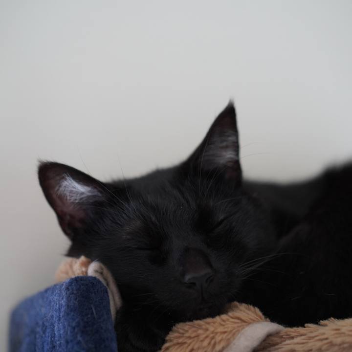 52f886be cc8b 48aa 85a0 424d8051aed3 1618285367438