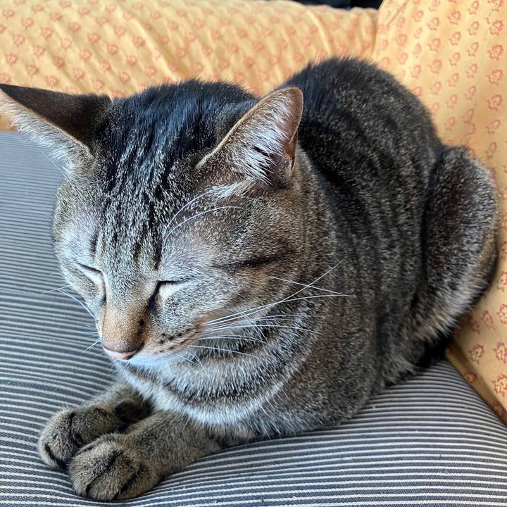 52f88b53 14e7 410e b9de 88e0d07ad3fc 1764904826423