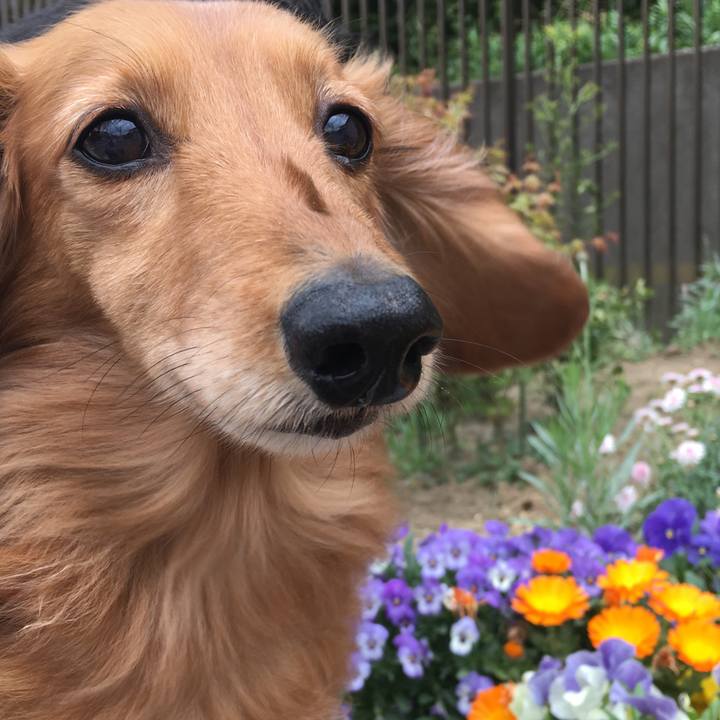 52f8b337 8451 4a08 8fc8 b14d42617706 1523685875918