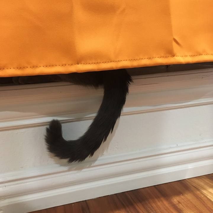 52f8c6d0 6735 4389 b67a 2a573a4508c2 1665102893283