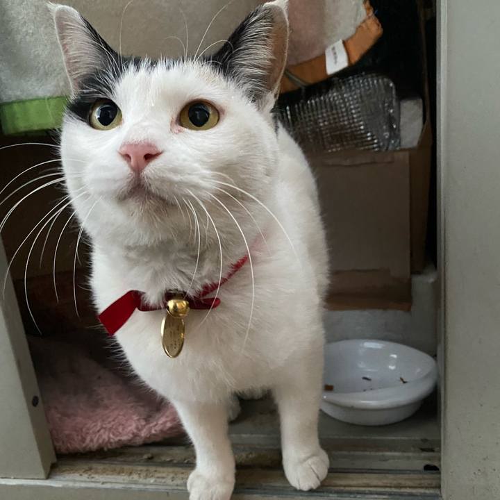 52f8c8d4 8ba0 42f3 b915 cd074789b814 1639782439257