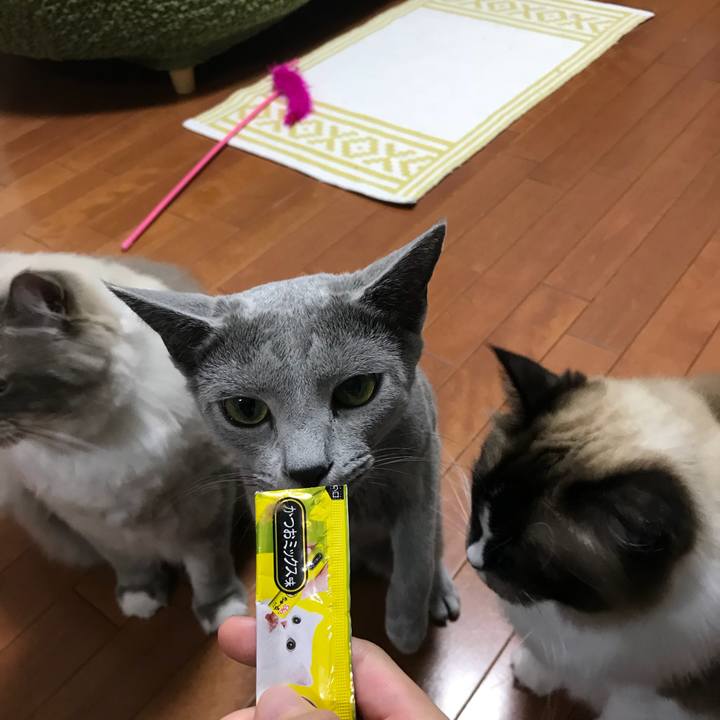 52f8e0bc 200a 4a34 ab2b 9b4df0aae083 1534065484118