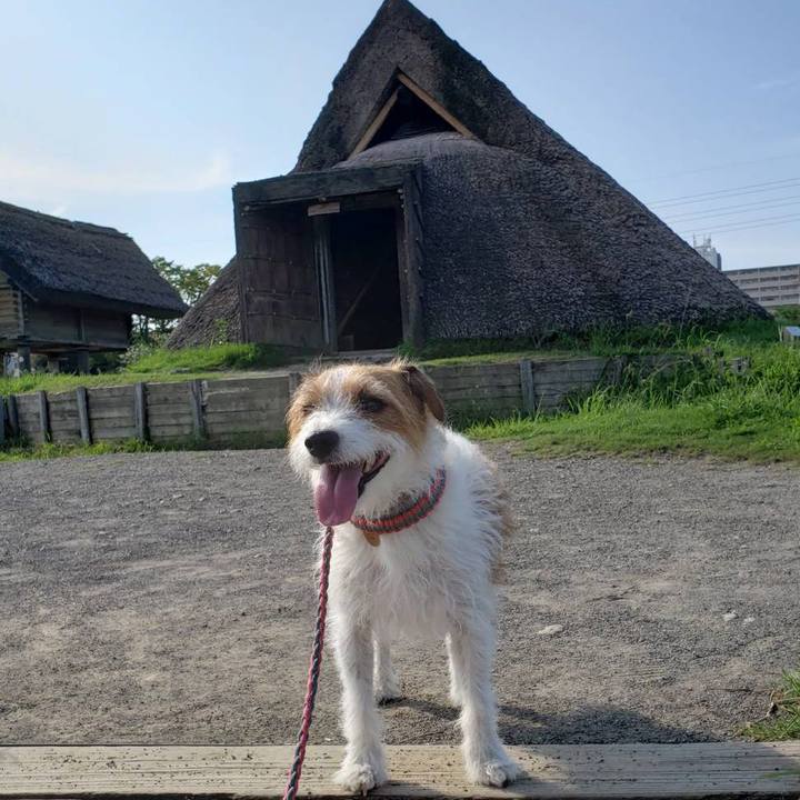 52f8e4ba c643 47c5 839e 794ba11314bb 1629960549978