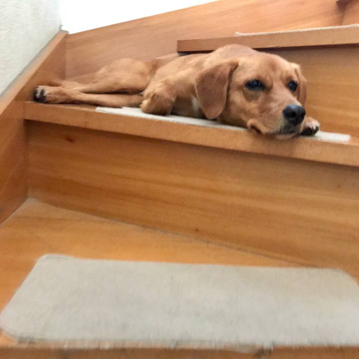 52f8fabf 0d3b 4e82 b5b3 d2efd14ea6a7 1533152806275