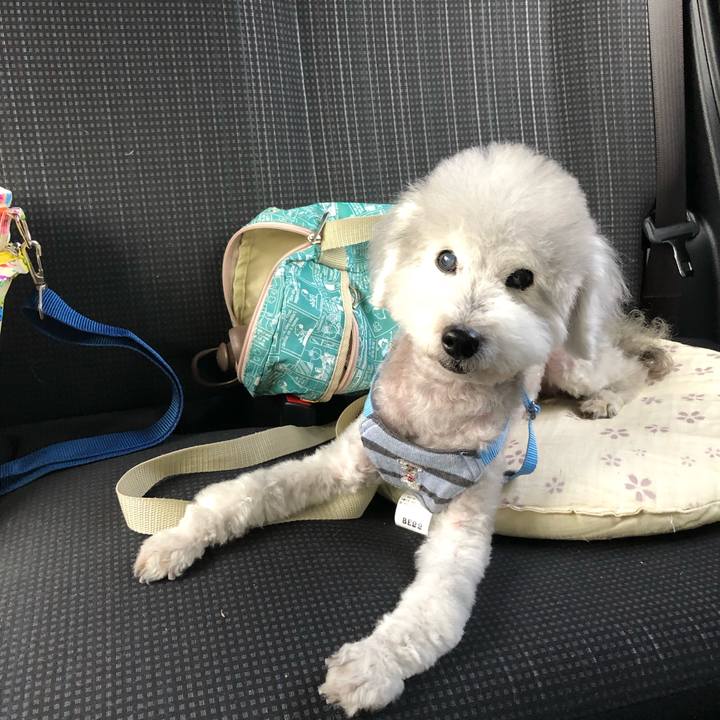 52f90316 076d 4efe a76b 1e0aed5d04b6 1622015451316