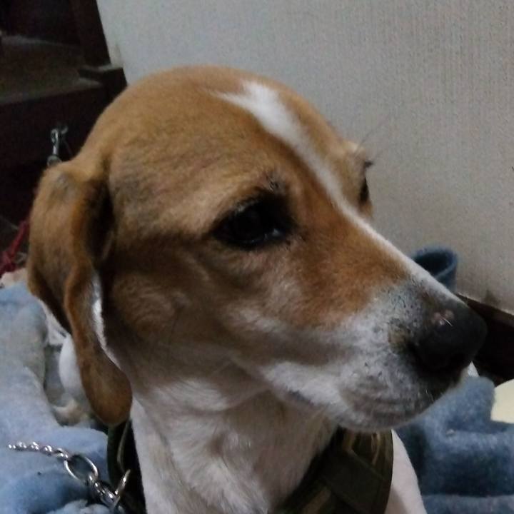 52f91b31 6f01 4585 95e9 c714bd78e535 1675862435657