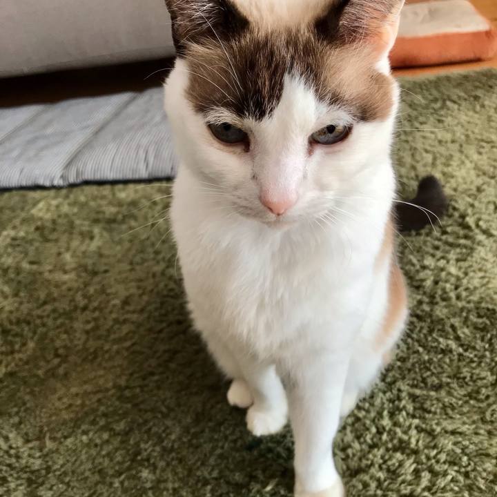 52f92813 ef5b 4561 b704 1b32ceb29cf8 1608107192838