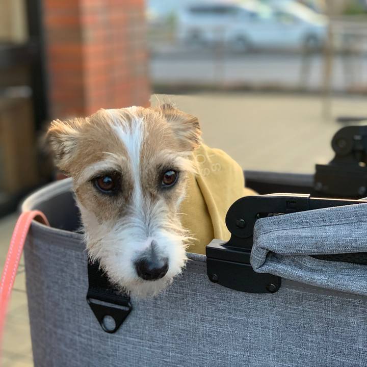 52f92964 46b1 4be3 8fc4 2fec0c44e957 1616155438325