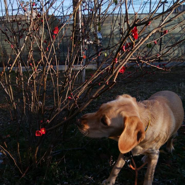 52f9be24 8632 434e 833f 9a4cc80c284e 1516837313542