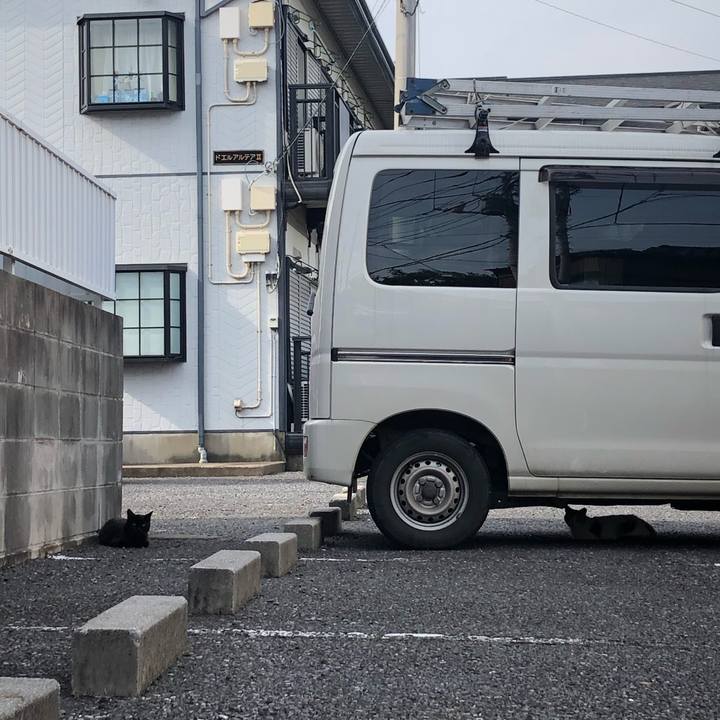 52f9c65a 1313 43bc a8e4 bf99f9b39fbf 1595255692800