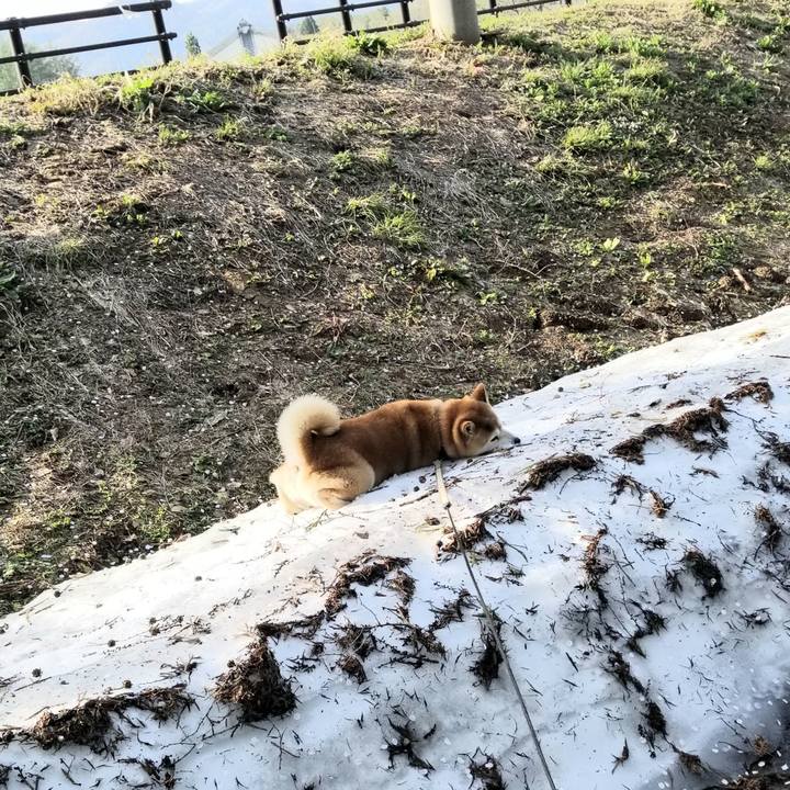 52f9decb 5554 4e86 87be 5ffca88a0916 1650870507685