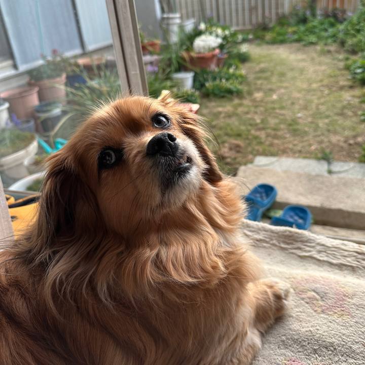 52f9fb81 1426 4f6e bf86 c57fd70d955b 1678916327319