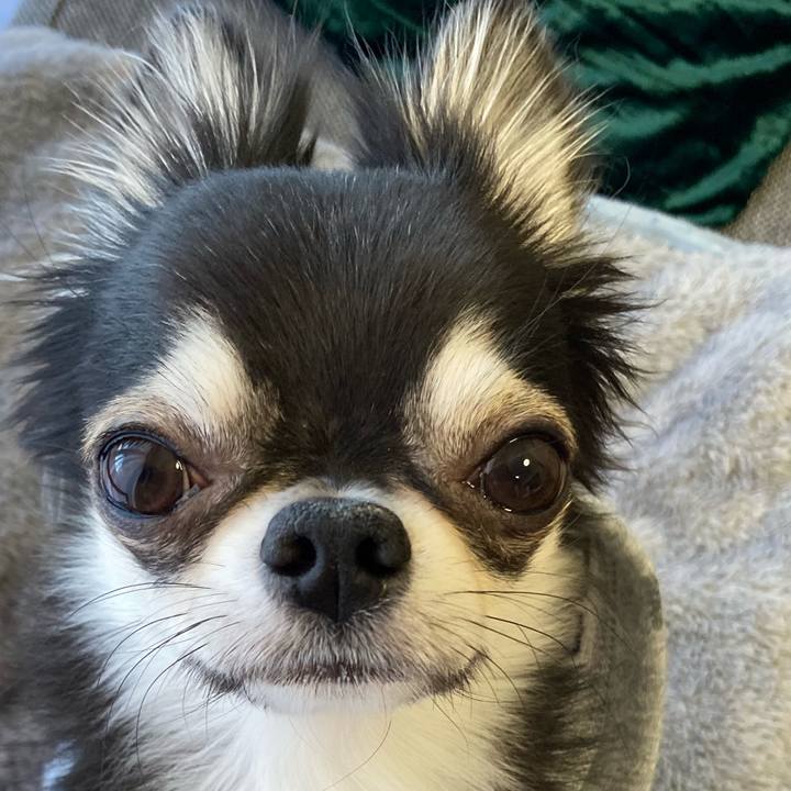 52fa466f b274 4ce4 83ce 0611083fd85f 1641168436933