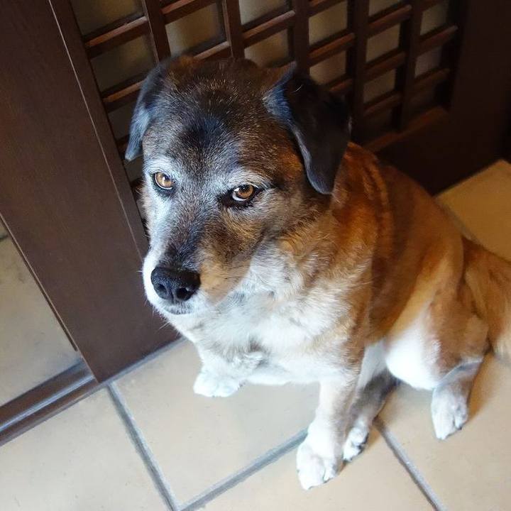 52fa7faa 10bb 4b6f 8939 9661959fe0a6 1521543380774