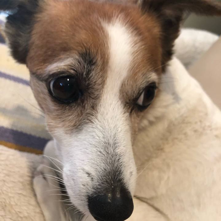 52faa38f b466 4505 acf3 0083d0c501bb 1553179962141