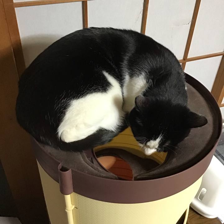 52faae50 e253 45e0 bc2f 632e6a7264a2 1676037206240