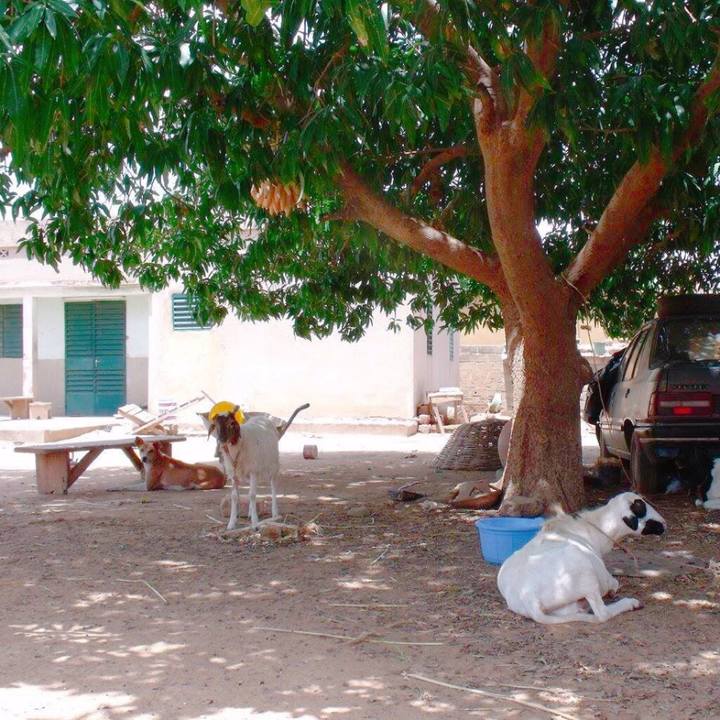 52fb08fb 0329 49cf b05a 338b5e969c22 1537264396337