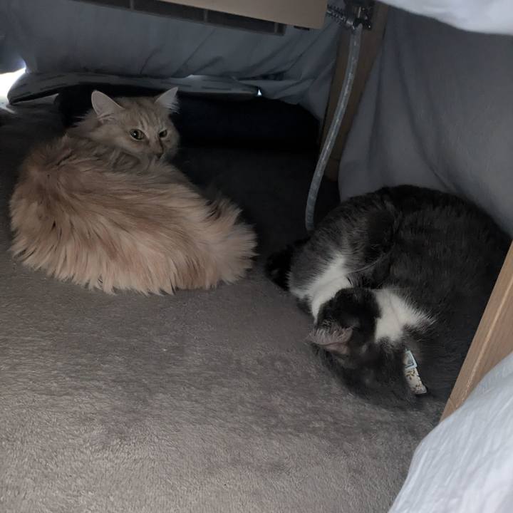 52fb1612 8de3 4b9a a1f2 b8076bde76e5 1770171505741