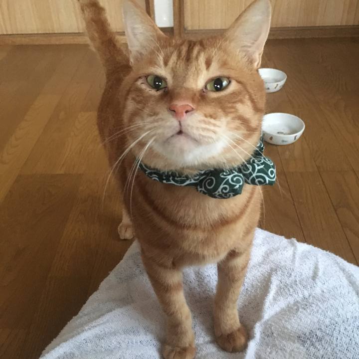 52fb2d16 bf0a 427b b790 fc28ad8916a3 1548456247964