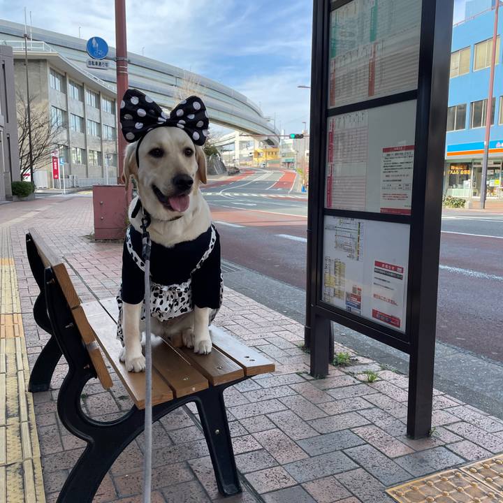 52fb6b77 fcb9 4946 97f1 9b2d12c618cc 1643683946169