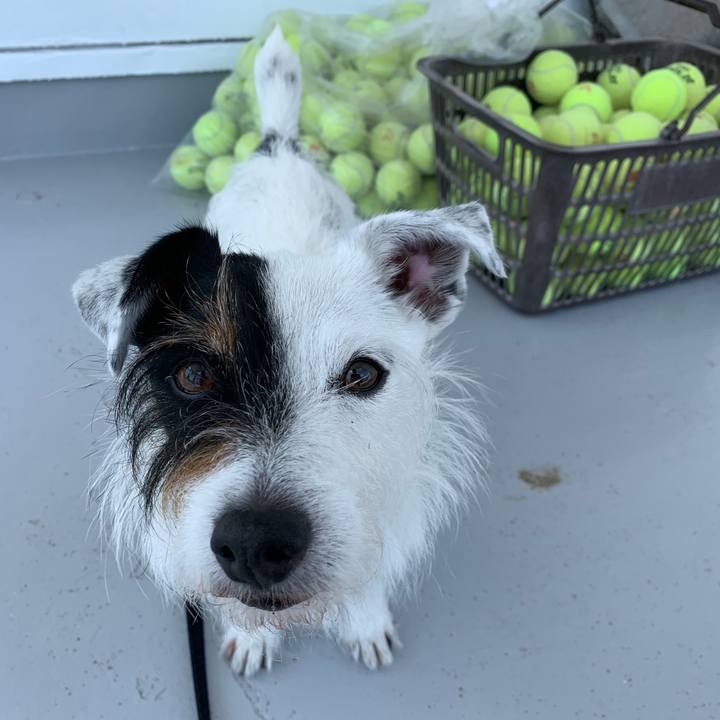 52fb6eb5 adea 42f1 9e0e 003fb0745581 1654307613743