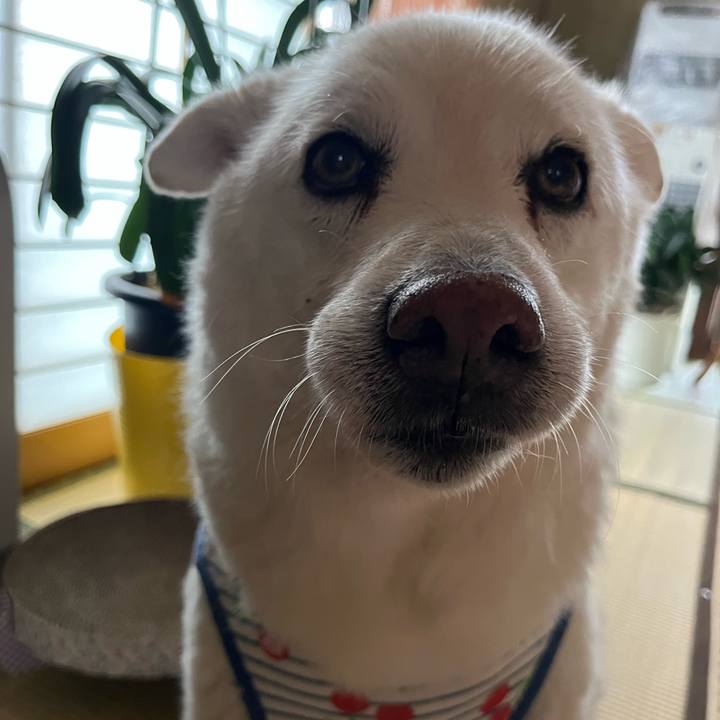 52fb7713 a737 4462 8745 a630a5063b60 1759793469834