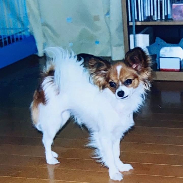 52fb938f cbd9 4808 a4e2 1e61e780f1ae 1682901314518