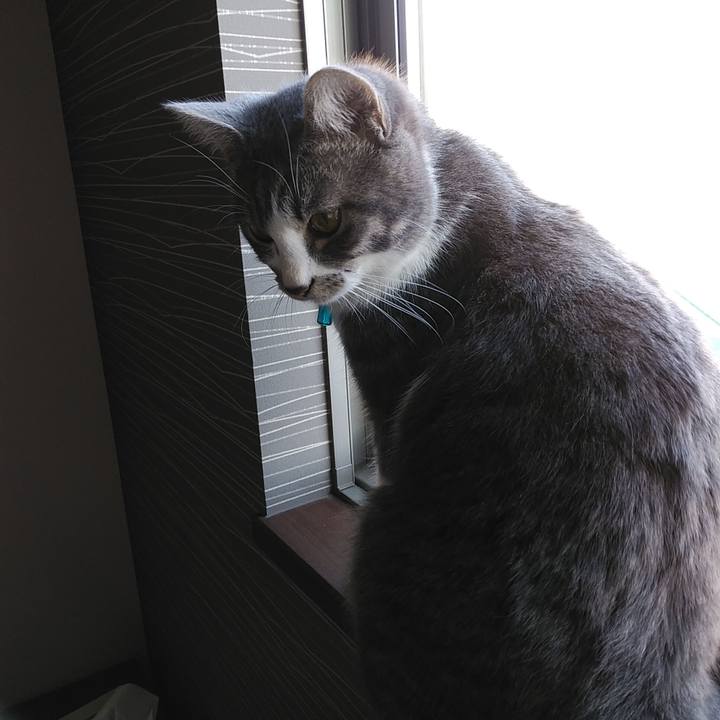 52fbea85 67cd 4c42 a40a abb3b8e94635 1576450544567