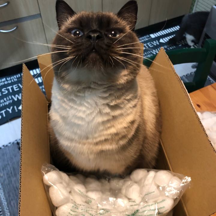 52fbed85 e2e6 4bdd 9987 b525e3e0578f 1613562159810