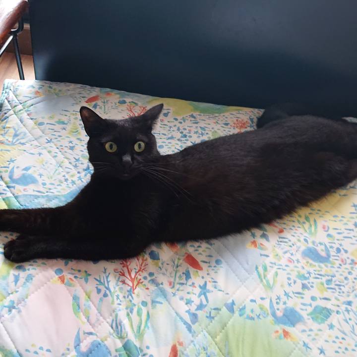 52fbf5a5 1fff 4bf4 9004 71913416e1c5 1630983487667