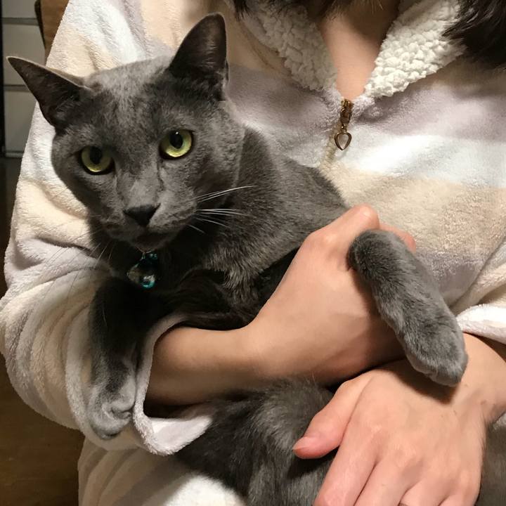 52fbfca2 7252 4035 ab6a 5d727c1991fe 1517992634444