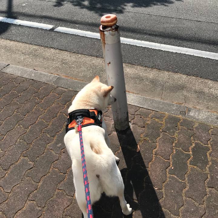 52fc6713 4e71 42a5 b23d 278799f2d51c 1532650326856