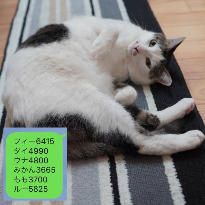 52fc7fba b6da 4c20 a57c 9e5bcebb4a99 1616299084418