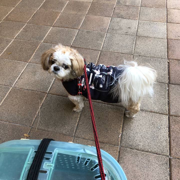 52fc84c2 aff5 4ddf 9b27 ed9bdd524228 1606686227116